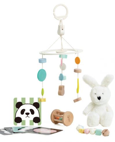 CLASSIC WORLD CW10027 Set pastel pentru bebeluși Box Primele Jucării de la 0 la 6 luni